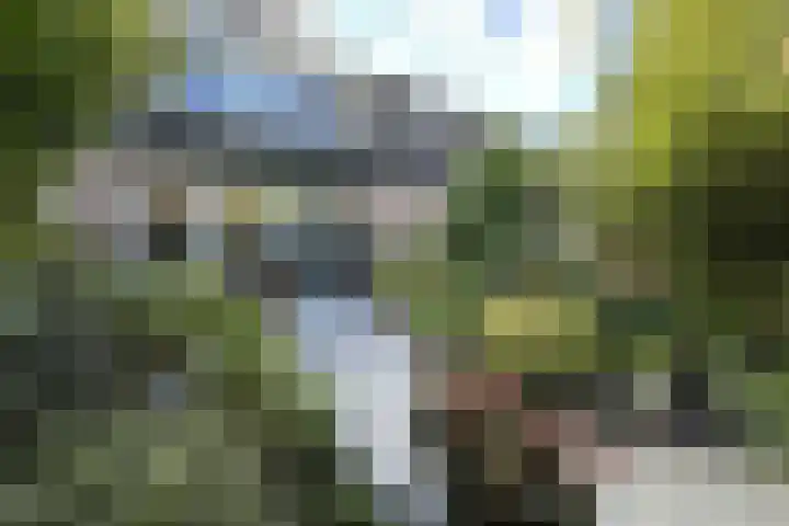 Marskramersgilde 9 Houten thumbnail 24