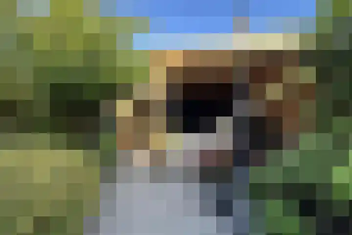 Marskramersgilde 9 Houten thumbnail 27