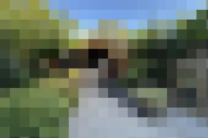 Marskramersgilde 9 Houten thumbnail 28