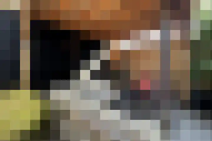 Marskramersgilde 9 Houten thumbnail 29