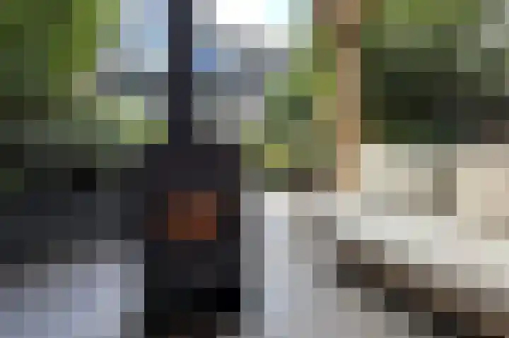 Marskramersgilde 9 Houten thumbnail 30