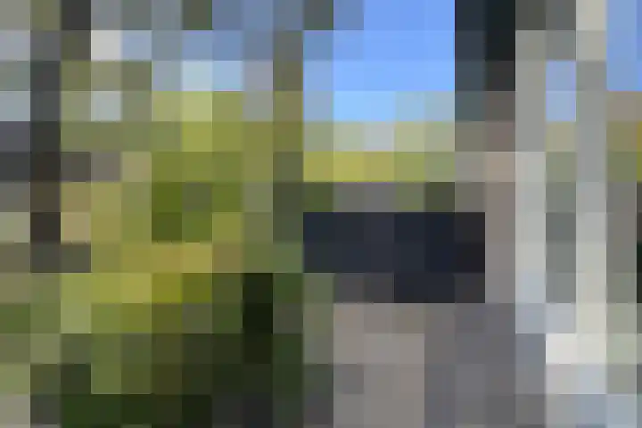 Marskramersgilde 9 Houten thumbnail 33