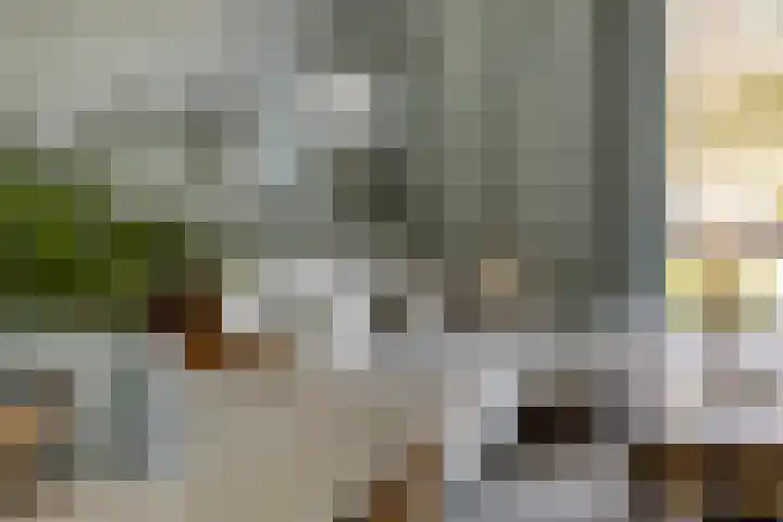 Marskramerstraat 27 Etten-Leur thumbnail 10