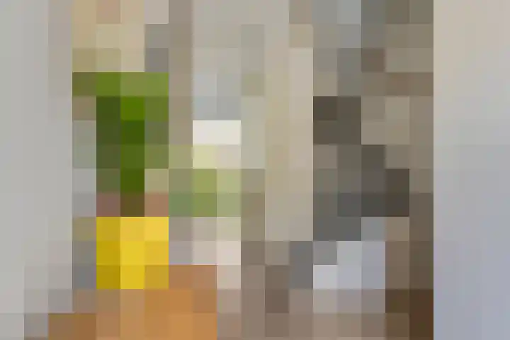 Marskramerstraat 27 Etten-Leur thumbnail 7