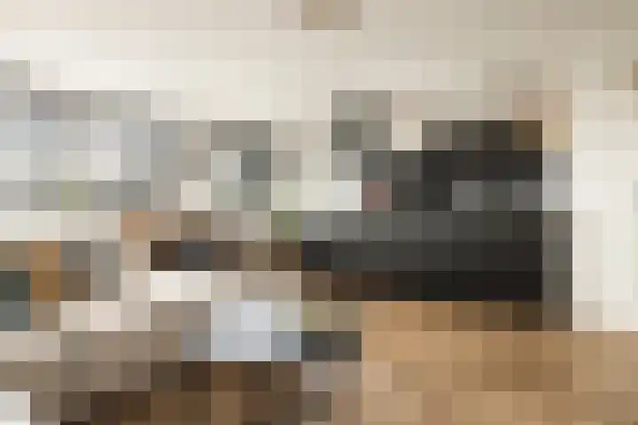 Marskramerstraat 70 Amsterdam thumbnail 7