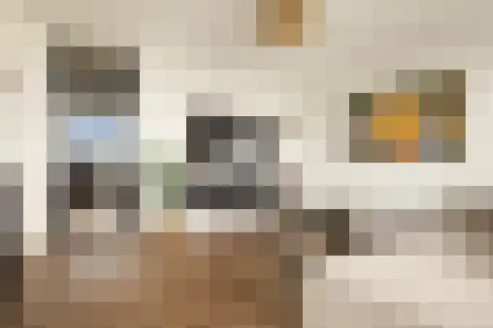 Marskramerstraat 70 Amsterdam thumbnail 9