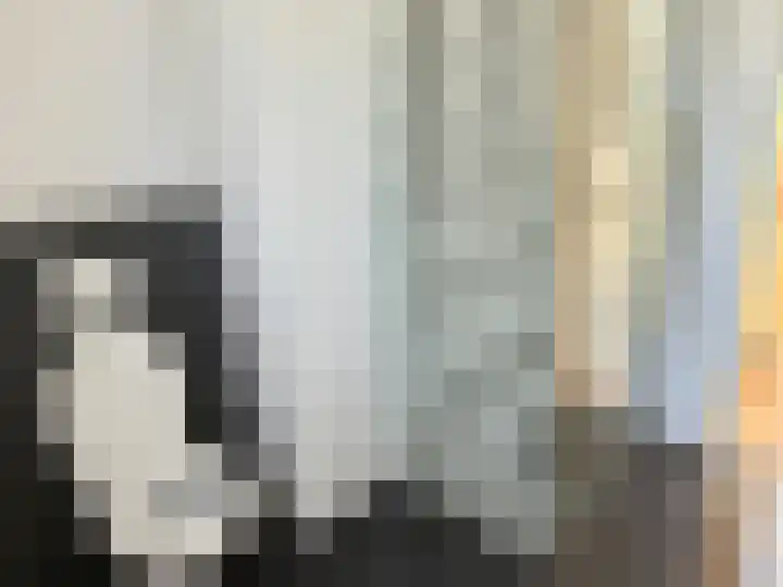Marskramerstraat 8 Etten-Leur thumbnail 12