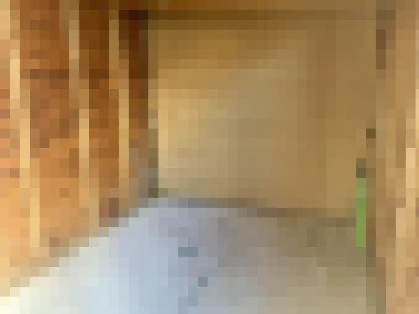 Marskramerstraat 8 Etten-Leur thumbnail 29