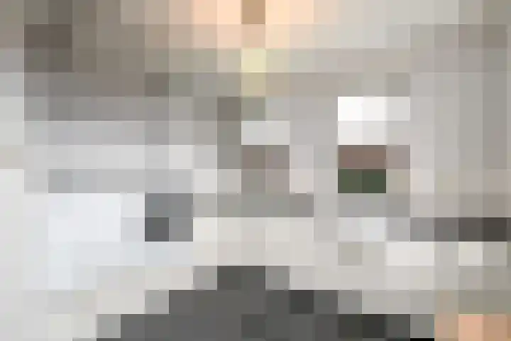 Marskramerstraat 8 Etten-Leur thumbnail 30