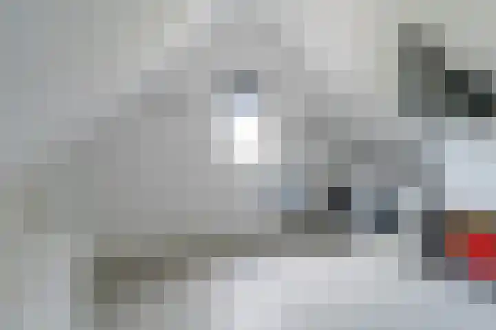 Marskramerstraat 8 Etten-Leur thumbnail 4