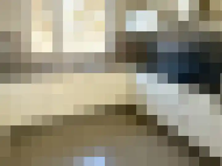 Marskramerstraat 8 Etten-Leur thumbnail 8