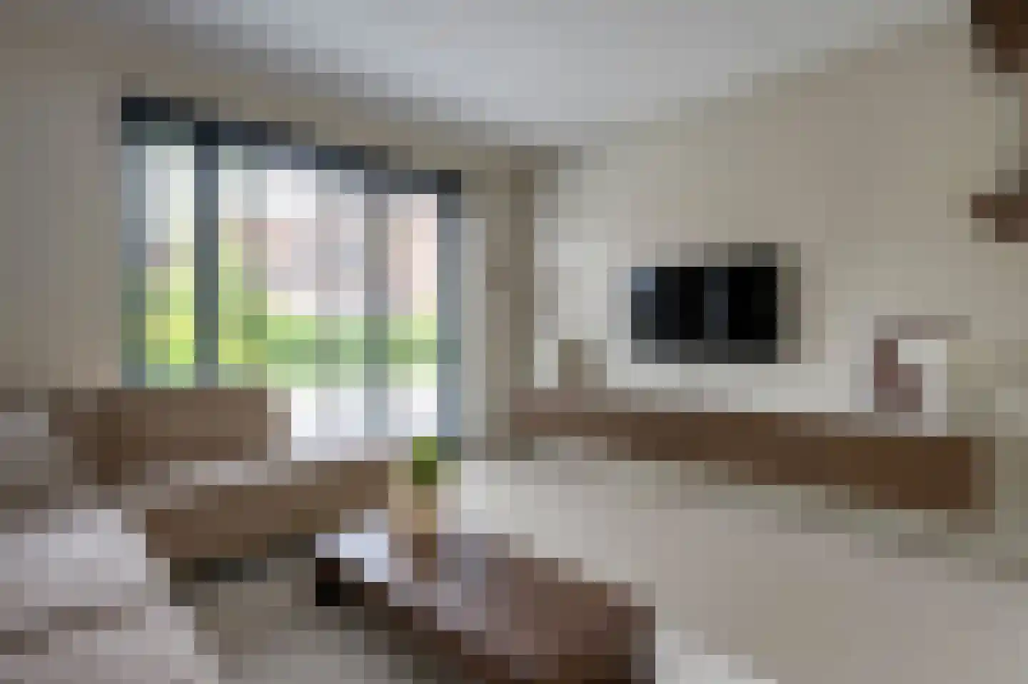 Marskwartier 15 Emmen thumbnail 5