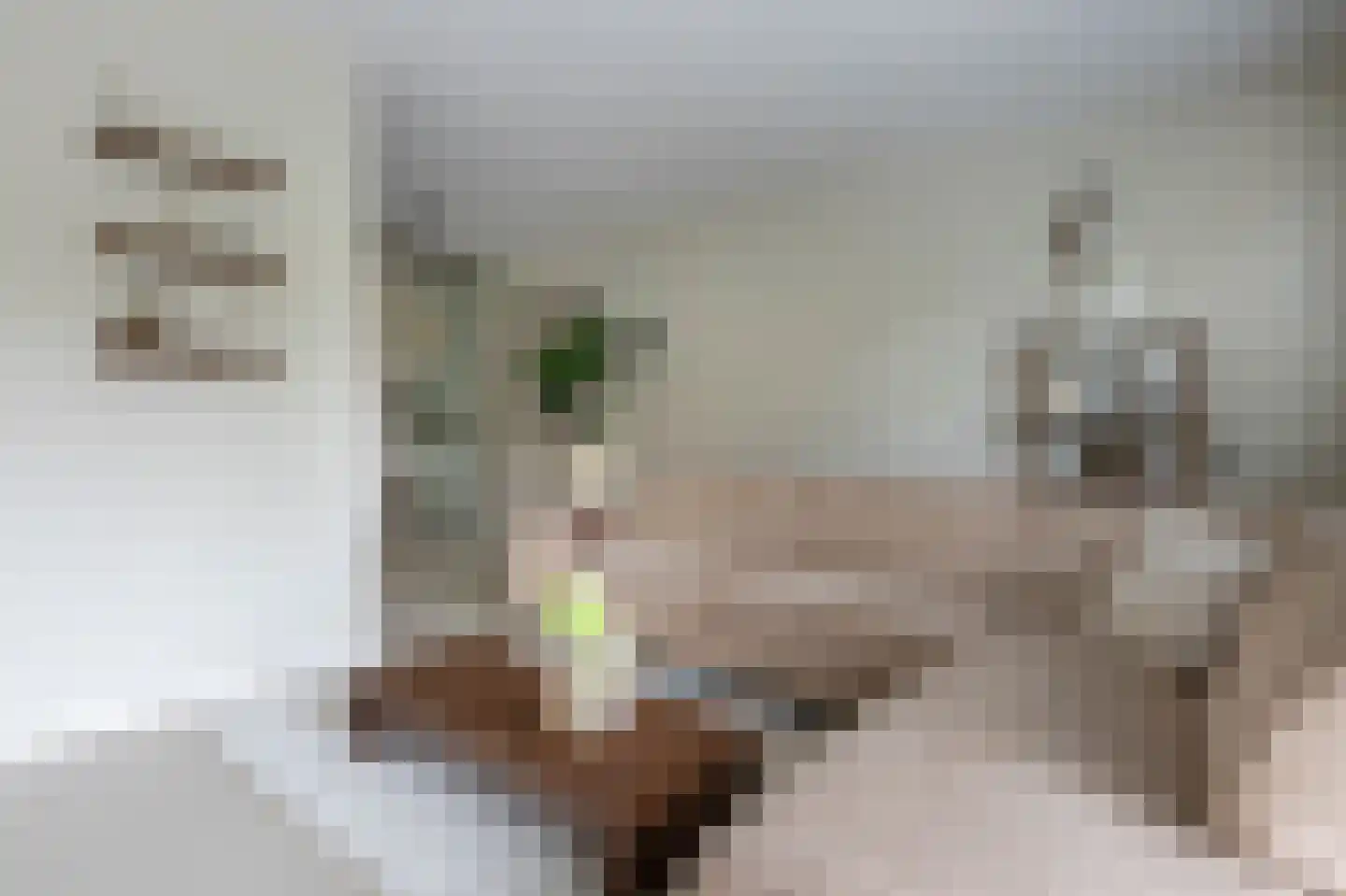 Marskwartier 15 Emmen thumbnail 8