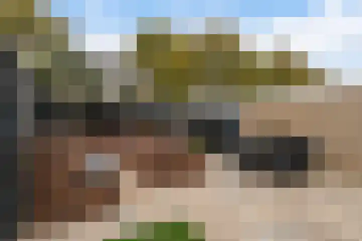 Marslaan 11 Dordrecht thumbnail 32