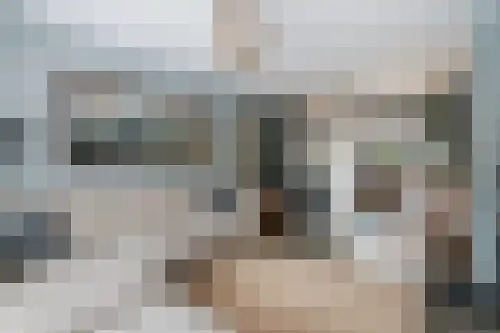 Marslaan 11 Dordrecht thumbnail 8