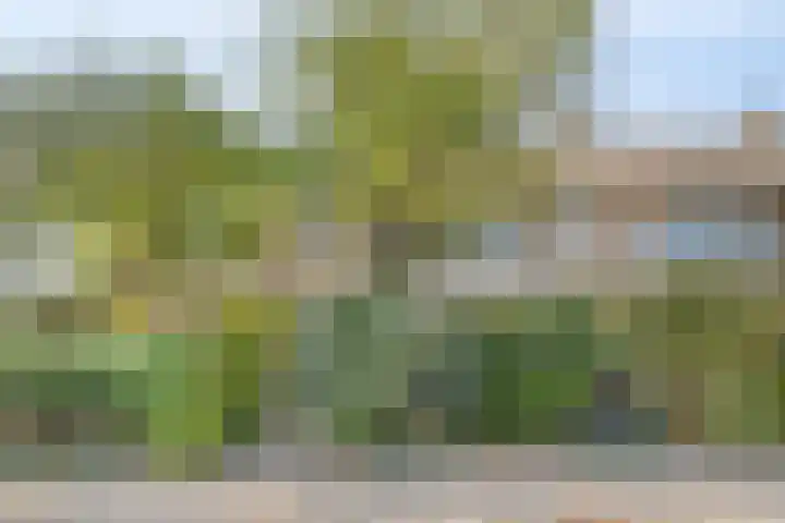 Marslaan 16 Dordrecht