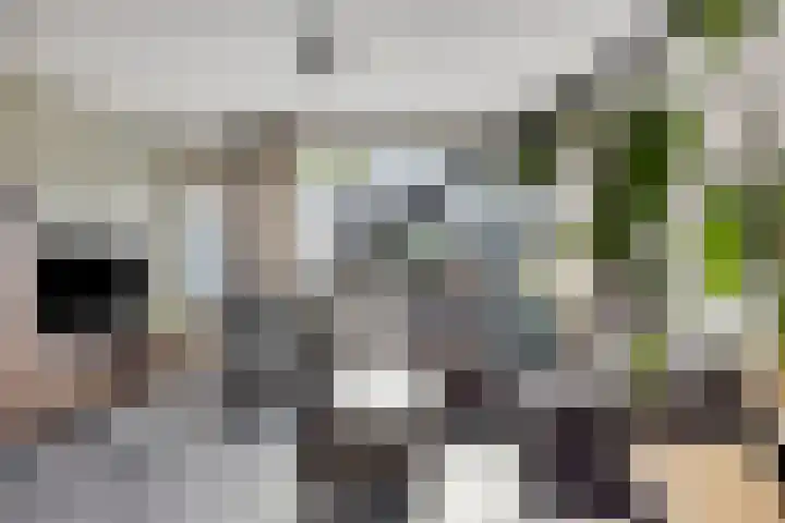 Marslaan 52 Helmond thumbnail 12