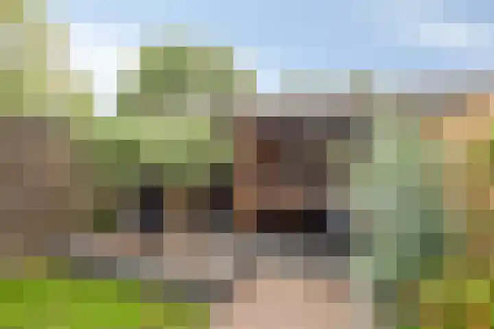Marslaan 52 Helmond thumbnail 23