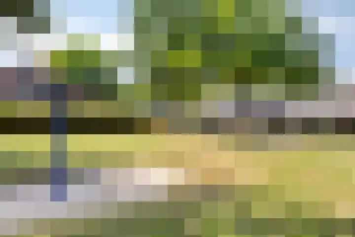Marslaan 52 Helmond thumbnail 37