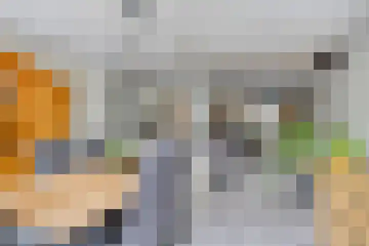 Marslaan 64 Helmond thumbnail 19