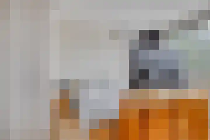 Marslaan 64 Helmond thumbnail 22