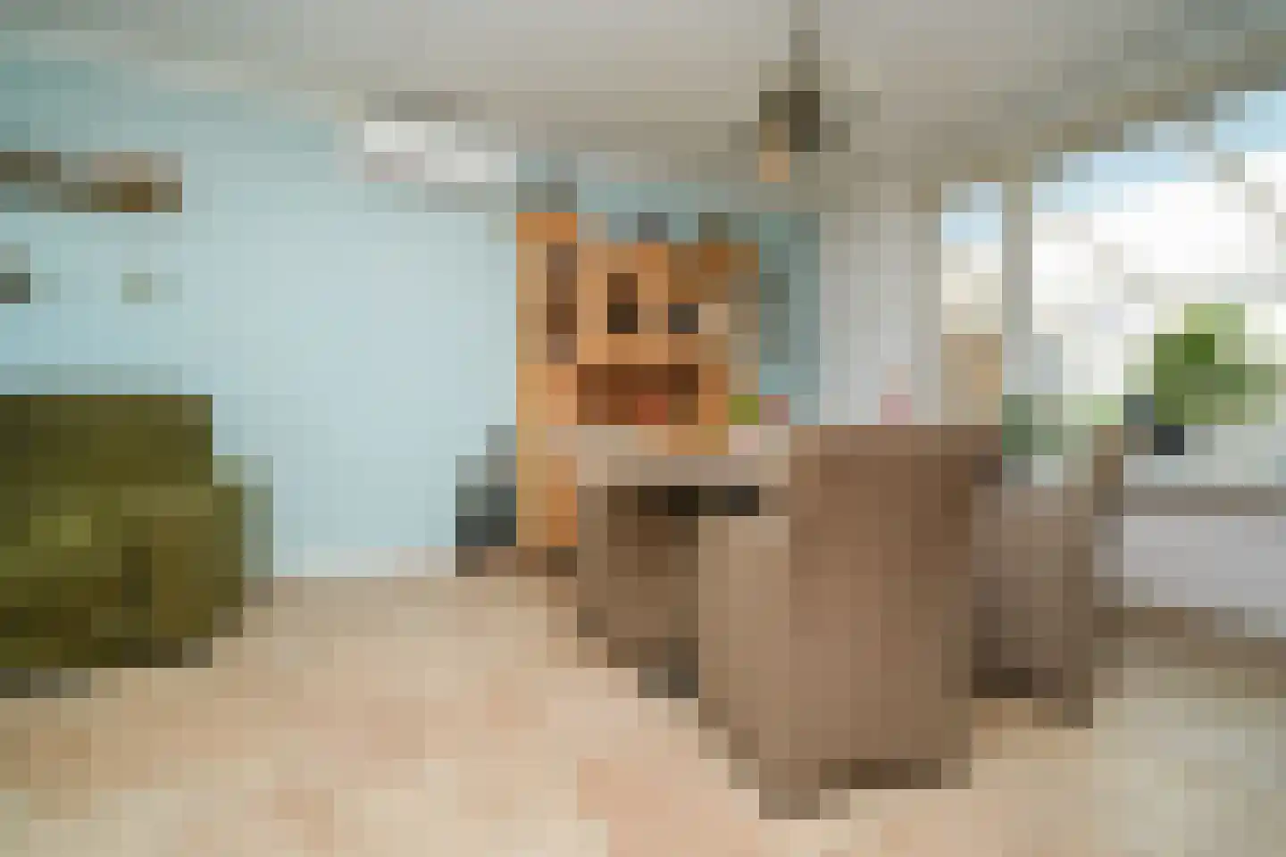 Marslaan 78 Nieuw-Lekkerland thumbnail 9