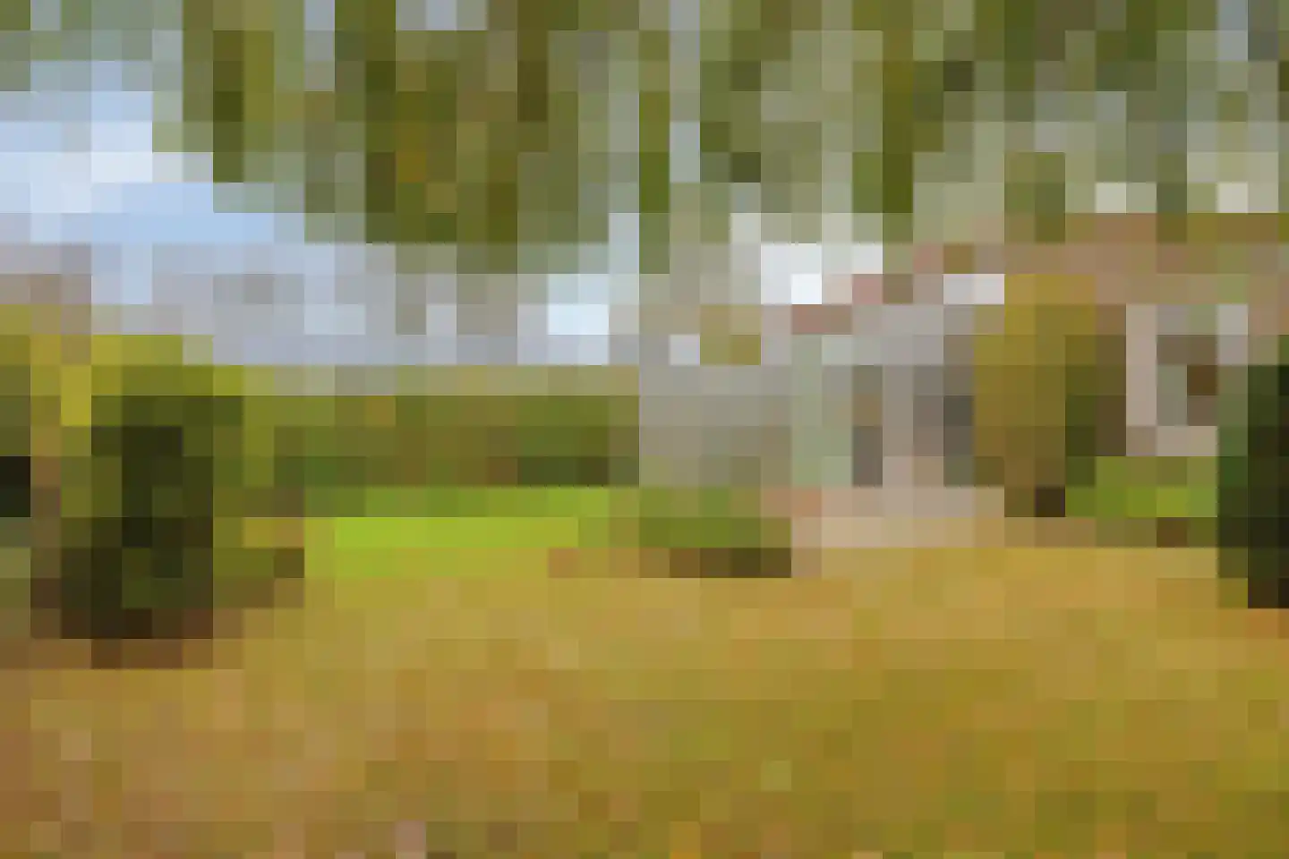 Marslaan 8 Kamperland thumbnail 12