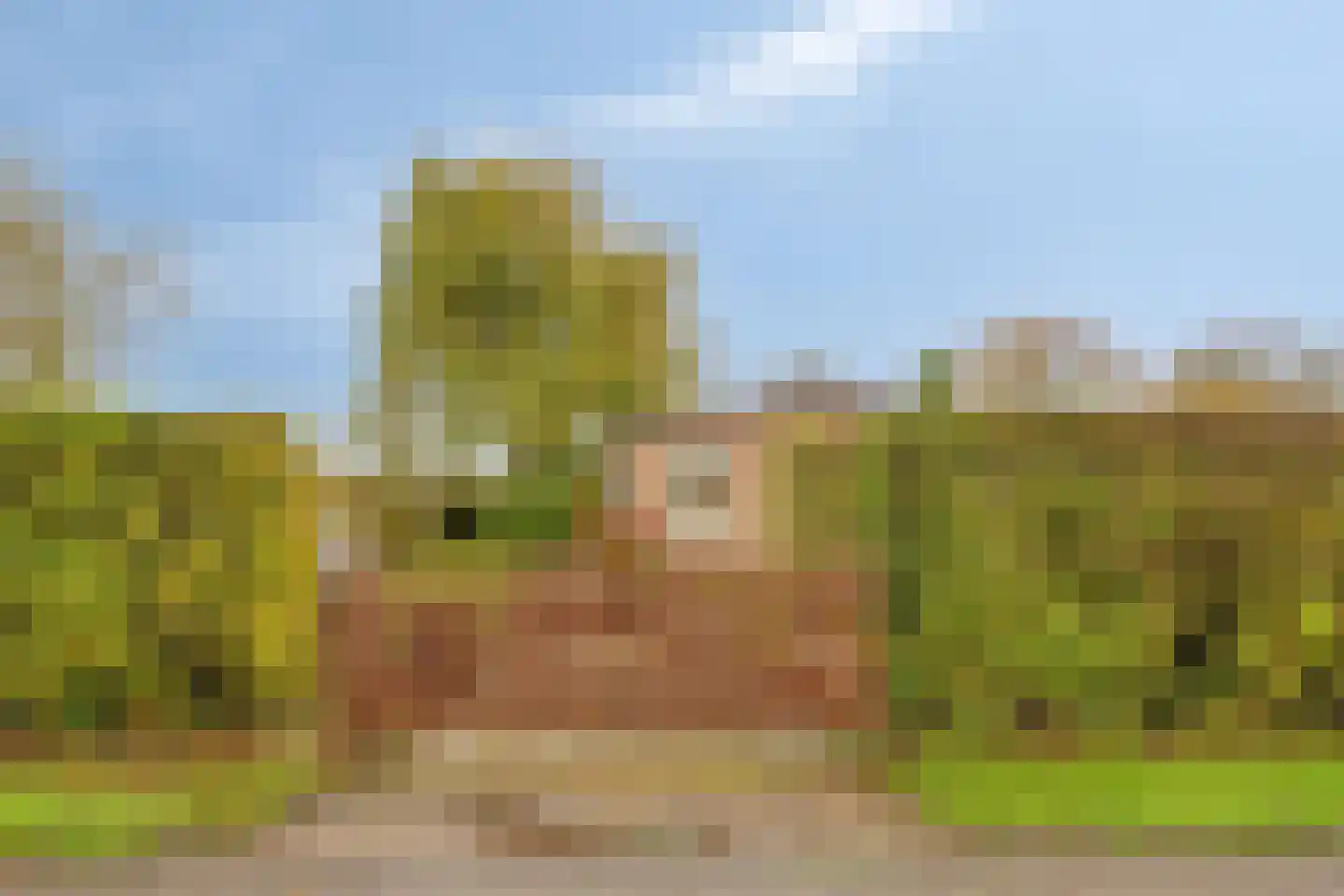 Marslaan 8 Kamperland thumbnail 19
