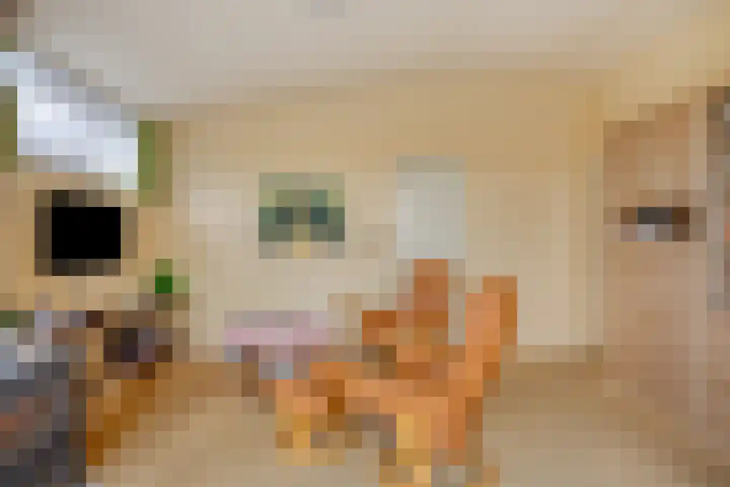 Marslaan 8 Kamperland thumbnail 8