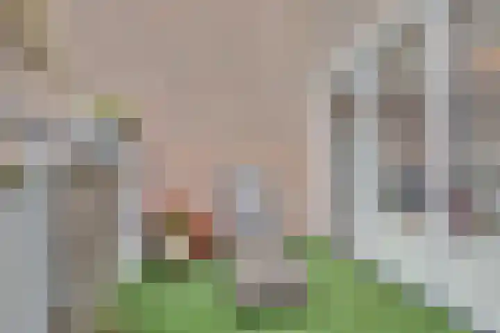 Marsmanhove 10 Zoetermeer thumbnail 22