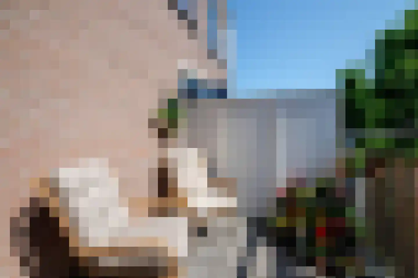Marsmanhove 120 Zoetermeer thumbnail 14