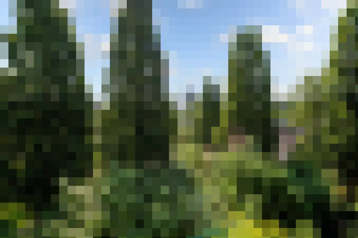 Marsmanhove 120 Zoetermeer thumbnail 18