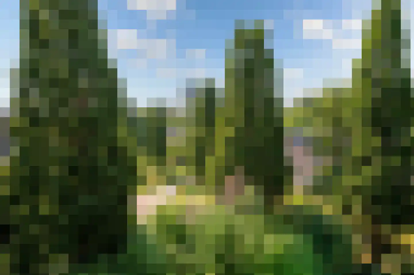 Marsmanhove 120 Zoetermeer thumbnail 45