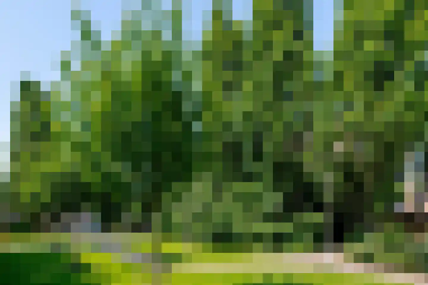 Marsmanhove 120 Zoetermeer thumbnail 50