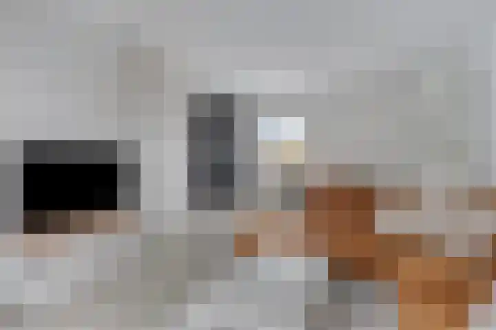 Marsmanhove 130 Zoetermeer thumbnail 10