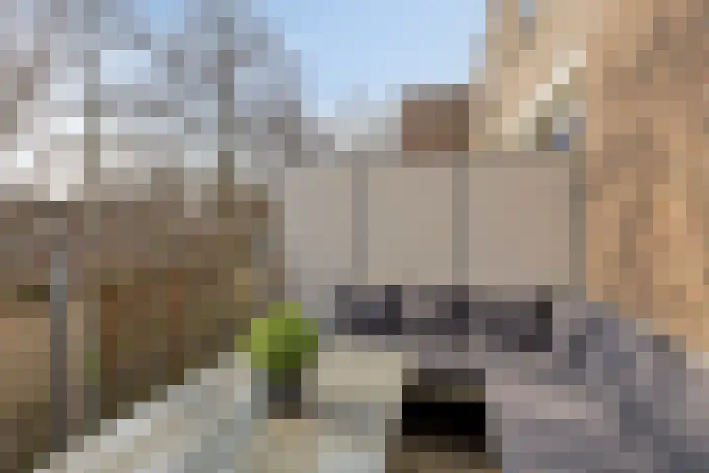 Marsmanhove 132 Zoetermeer thumbnail 28
