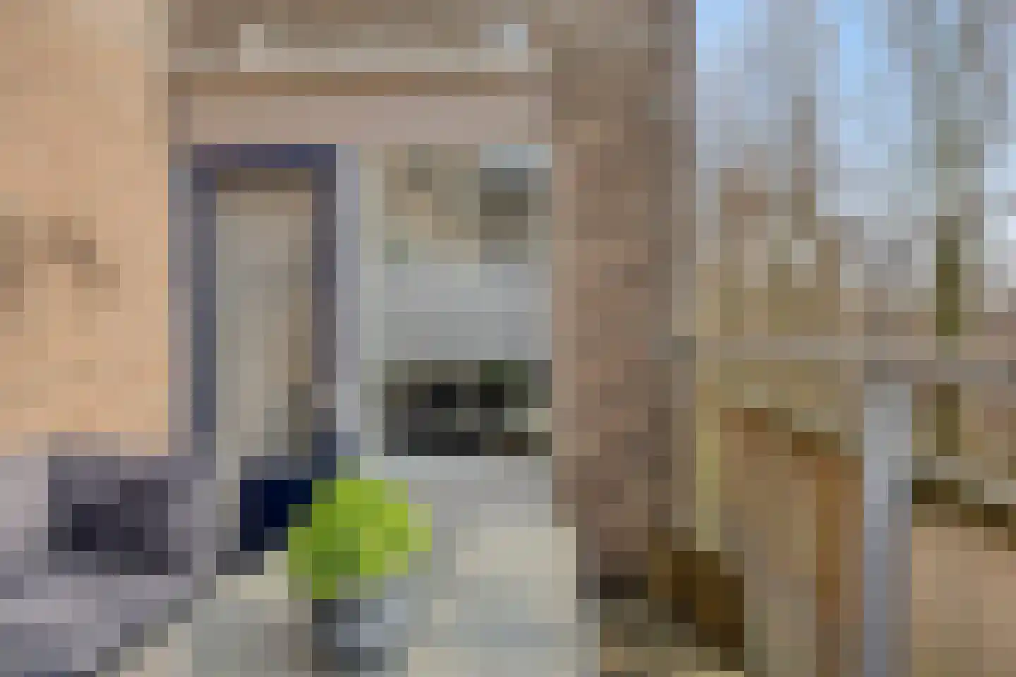 Marsmanhove 132 Zoetermeer thumbnail 29