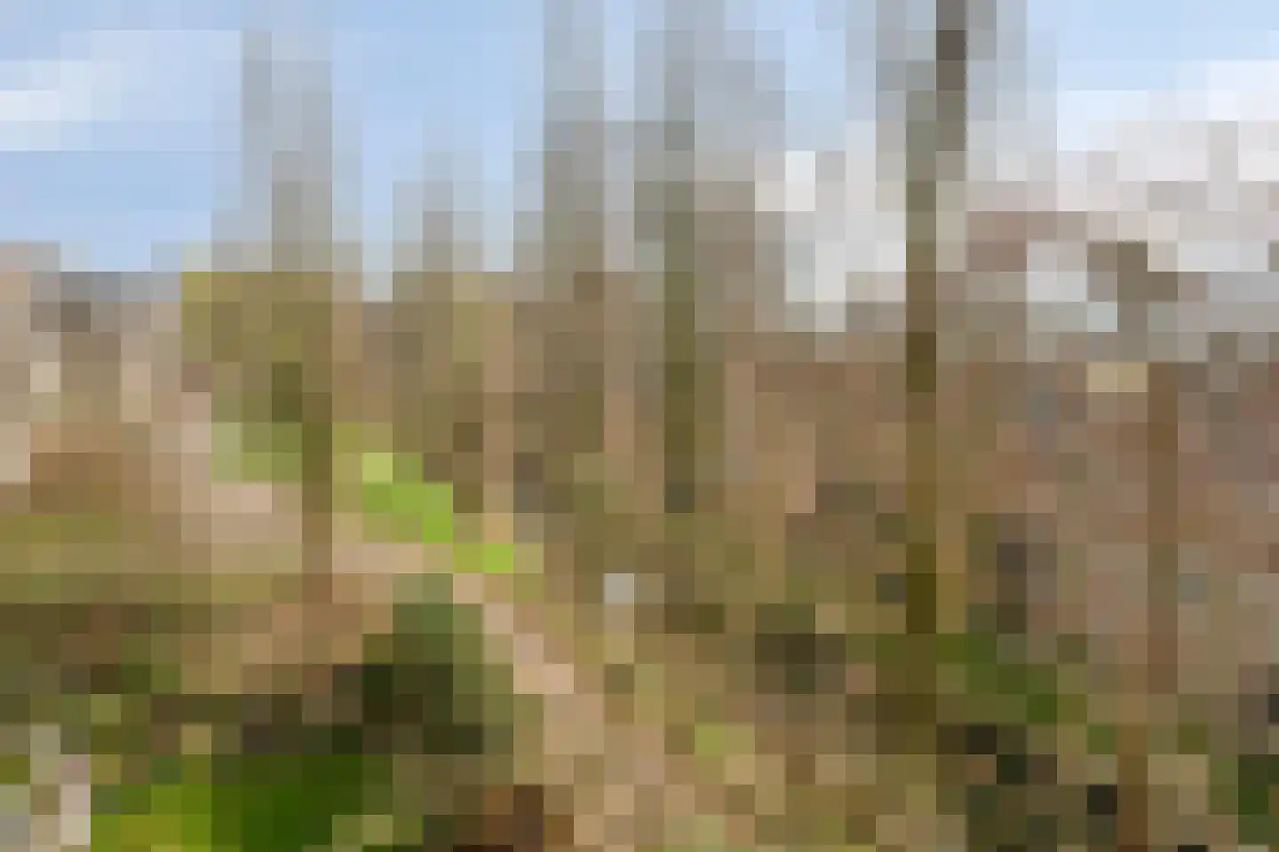 Marsmanhove 132 Zoetermeer thumbnail 30
