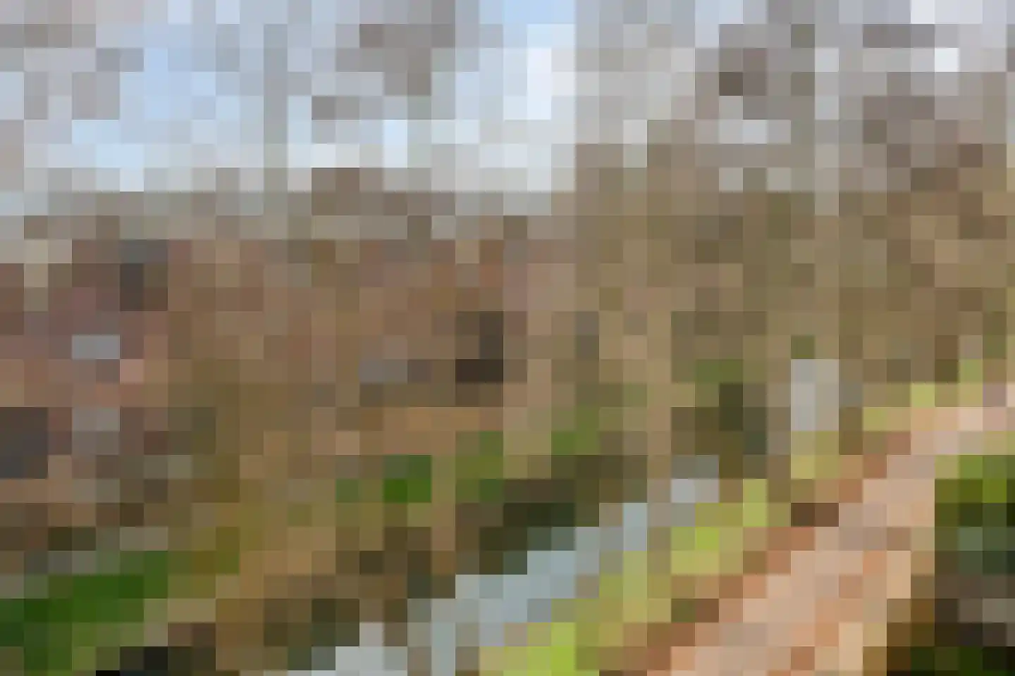 Marsmanhove 132 Zoetermeer thumbnail 31