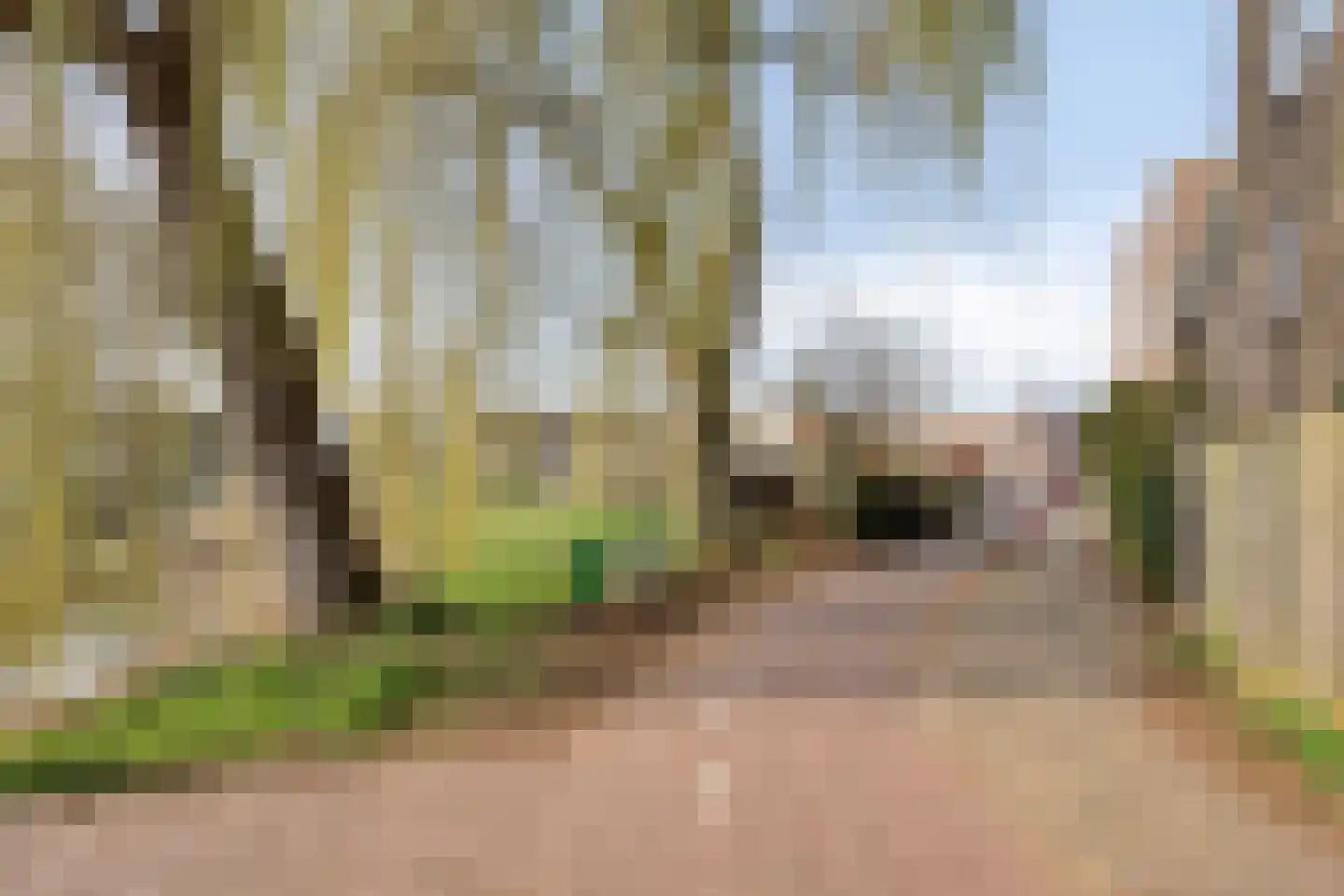 Marsmanhove 132 Zoetermeer thumbnail 35