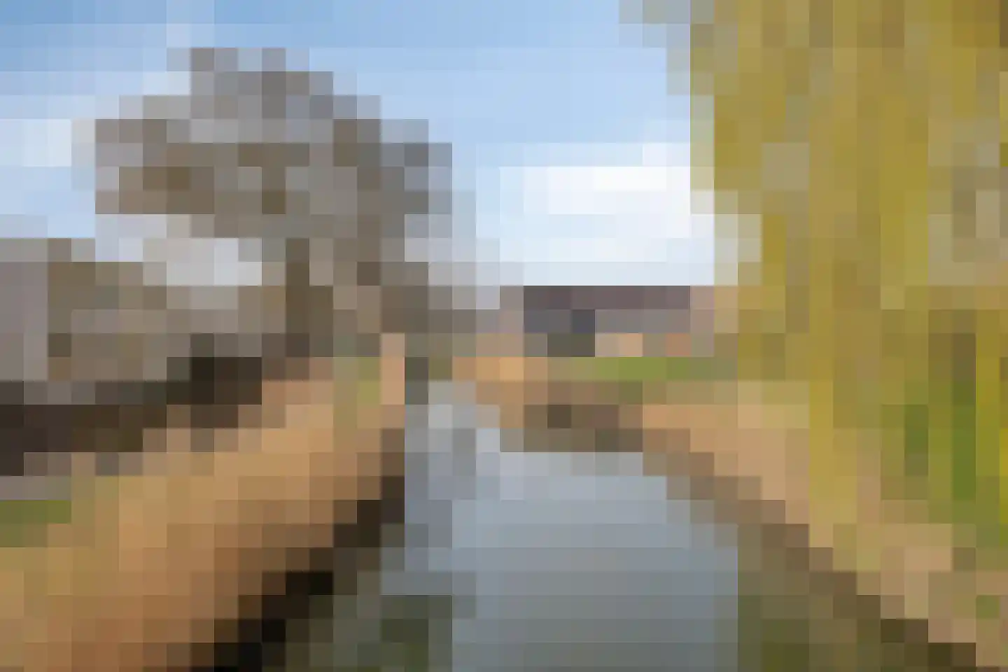 Marsmanhove 132 Zoetermeer thumbnail 37