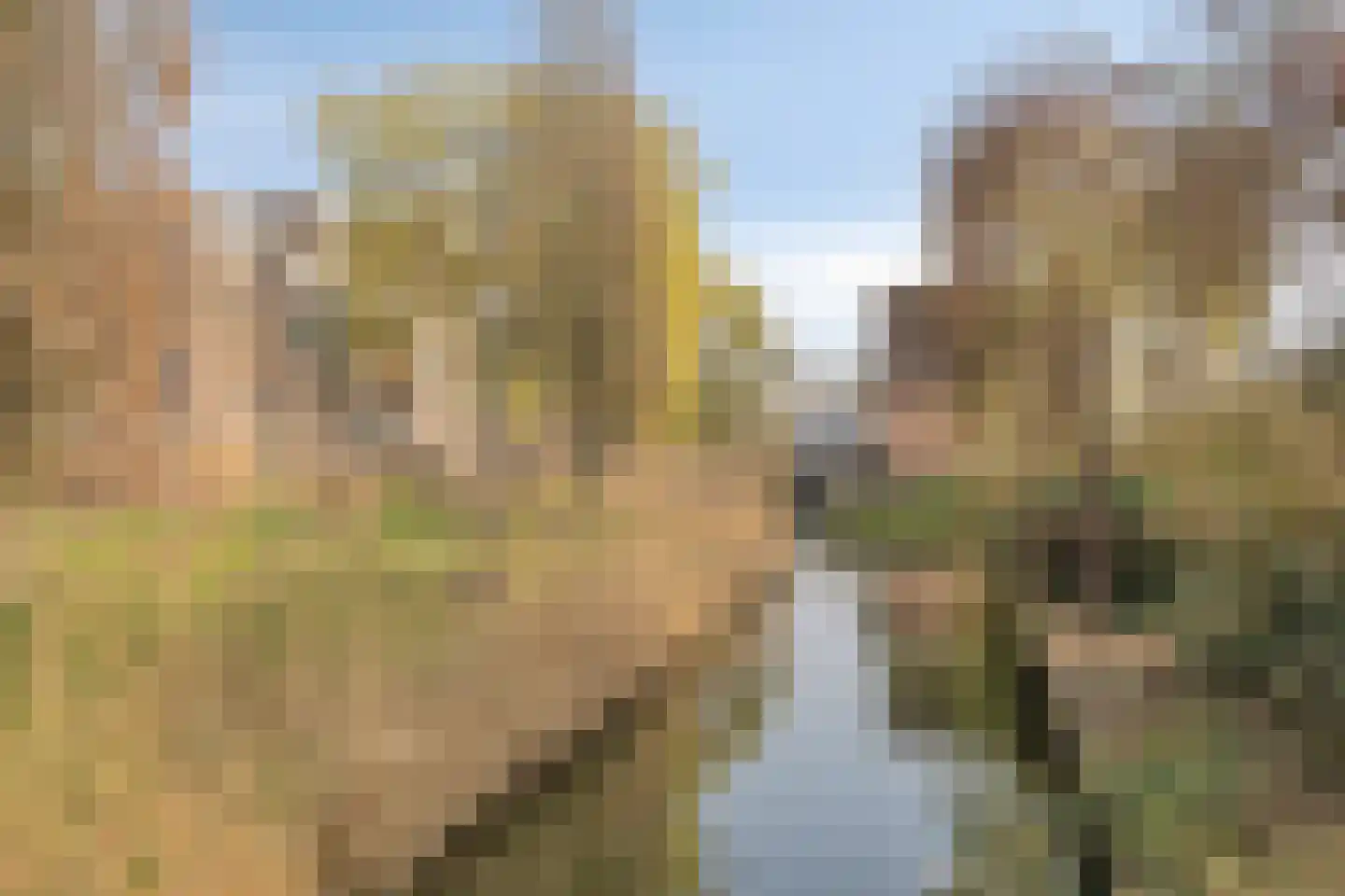 Marsmanhove 132 Zoetermeer thumbnail 40