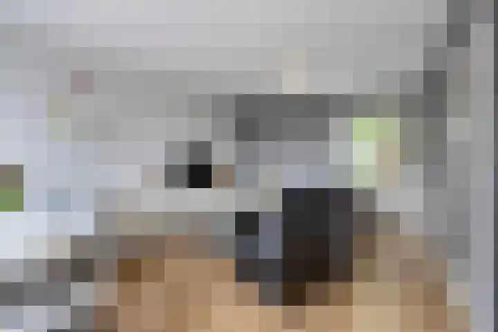 Marsmanhove 14 Zoetermeer thumbnail 9
