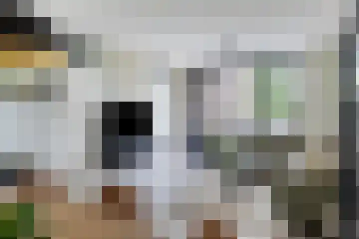 Marsmanhove 148 Zoetermeer thumbnail 12