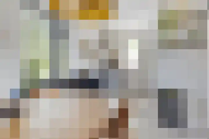 Marsmanhove 148 Zoetermeer thumbnail 13