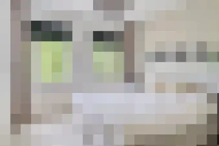 Marsmanhove 148 Zoetermeer thumbnail 18