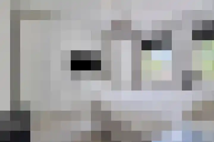 Marsmanhove 148 Zoetermeer thumbnail 19