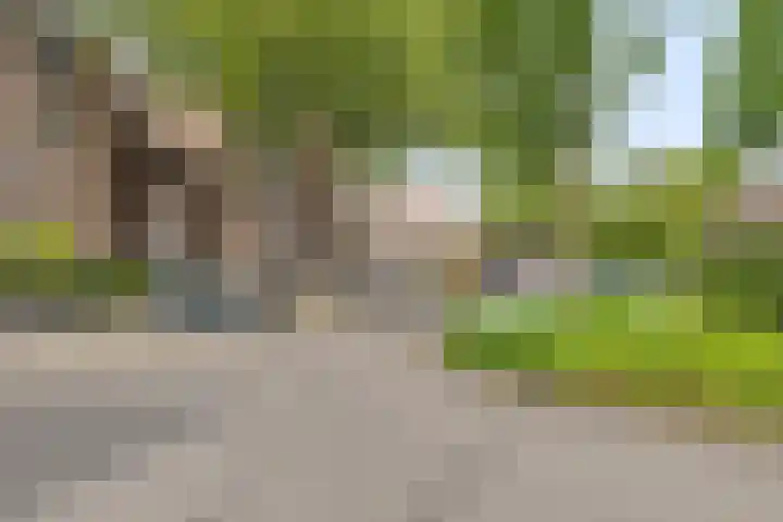 Marsmanhove 148 Zoetermeer thumbnail 24