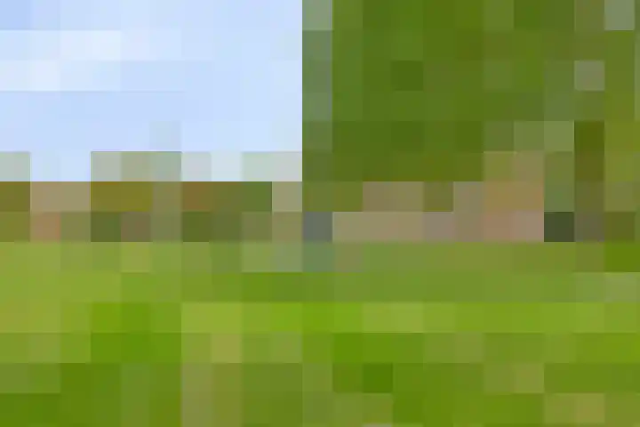 Marsmanhove 148 Zoetermeer thumbnail 27