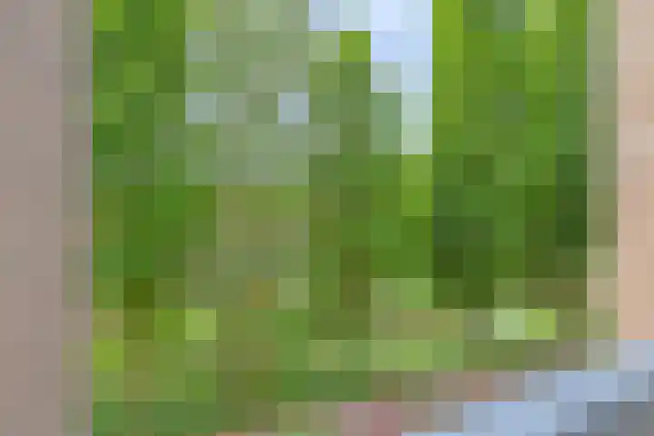 Marsmanhove 148 Zoetermeer thumbnail 6